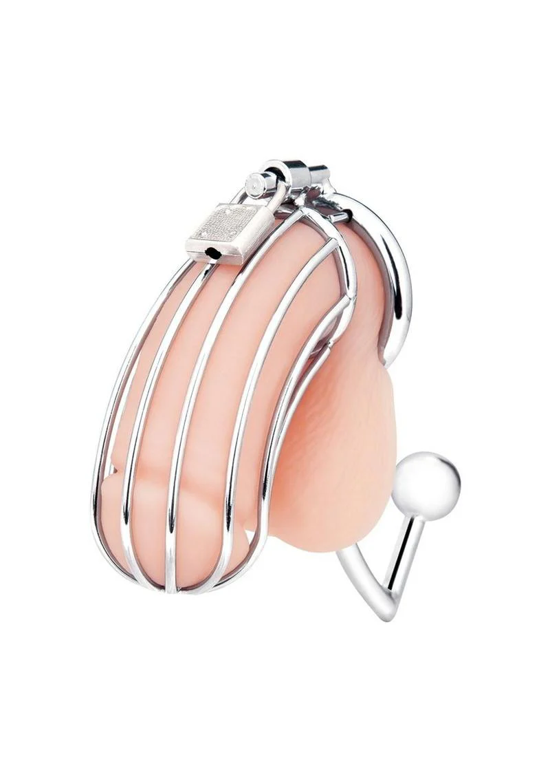Cock Cage with Anal Stimulator - Image 3