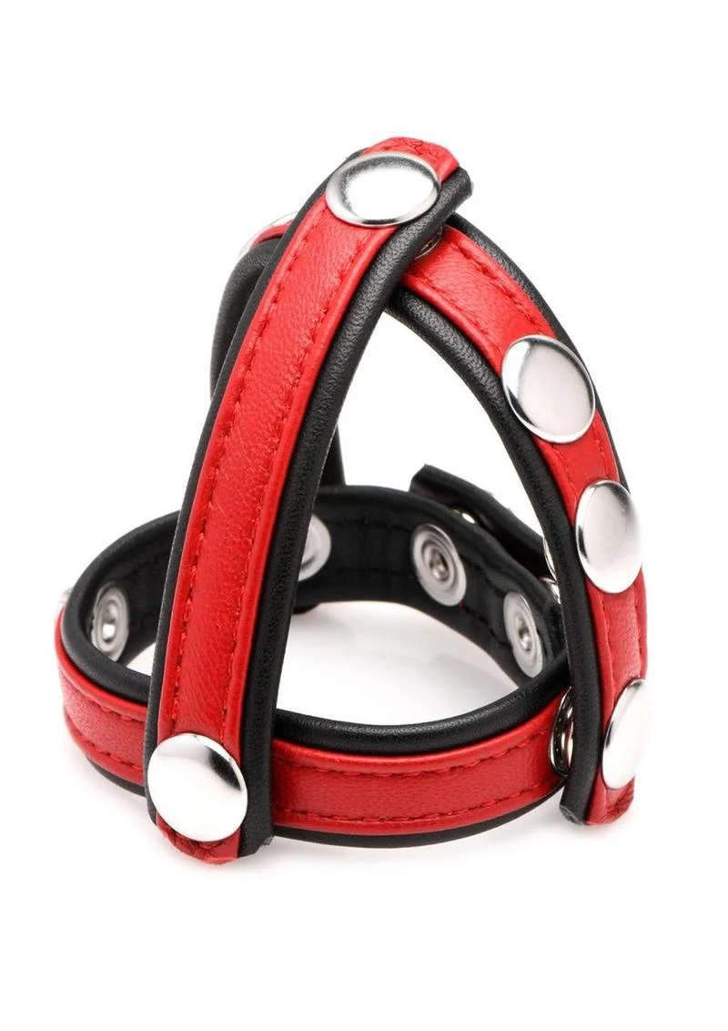 Cock Gear Leather Snap-On Harness - Image 7
