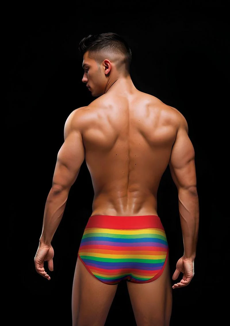 Envy Rainbow Pride Brief-Red-Lxl - Image 2