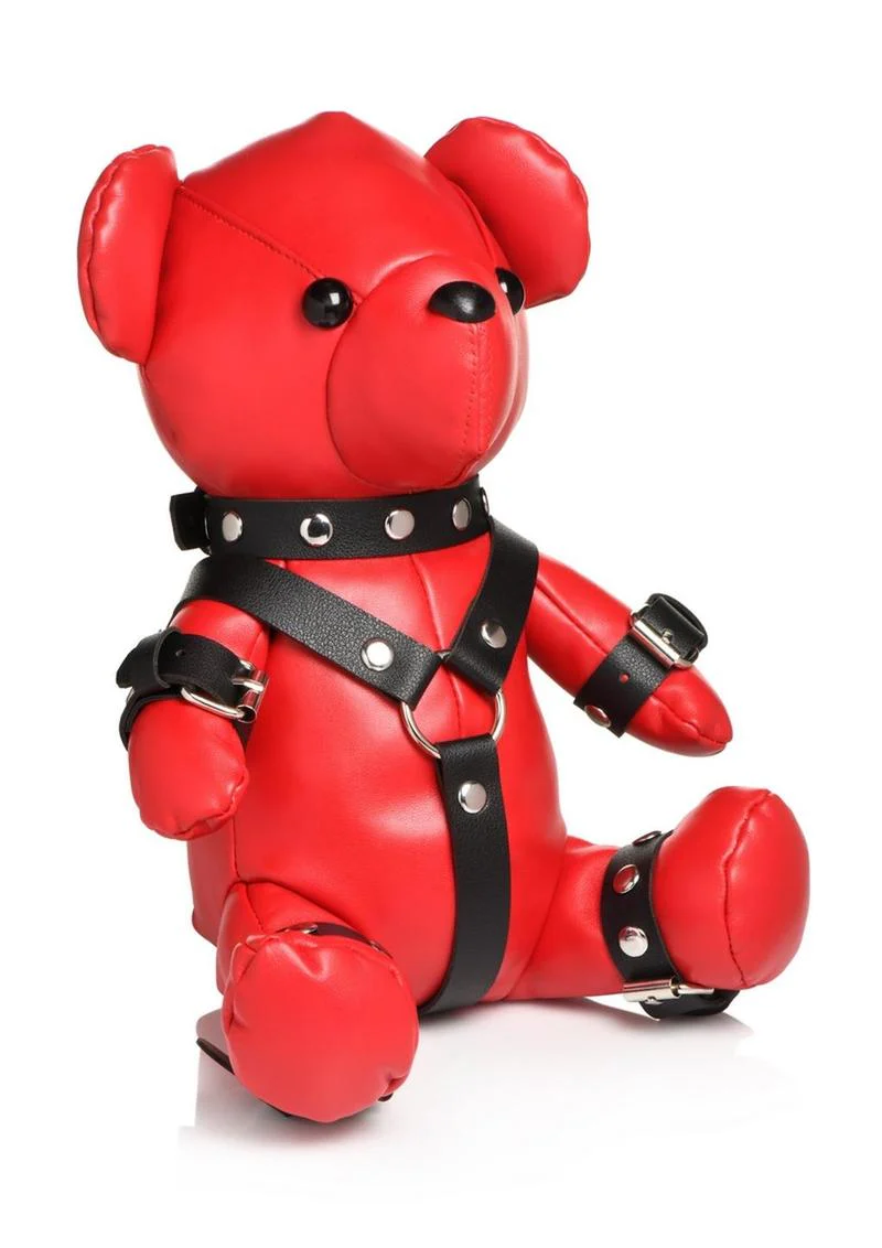 Master Series Gimp Bear - Image 3