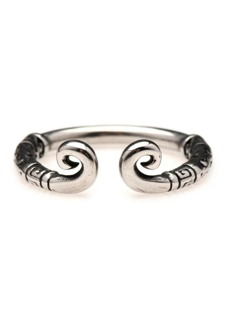 Master Series Kingpin Stainless Steel Glans Ring - Image 5