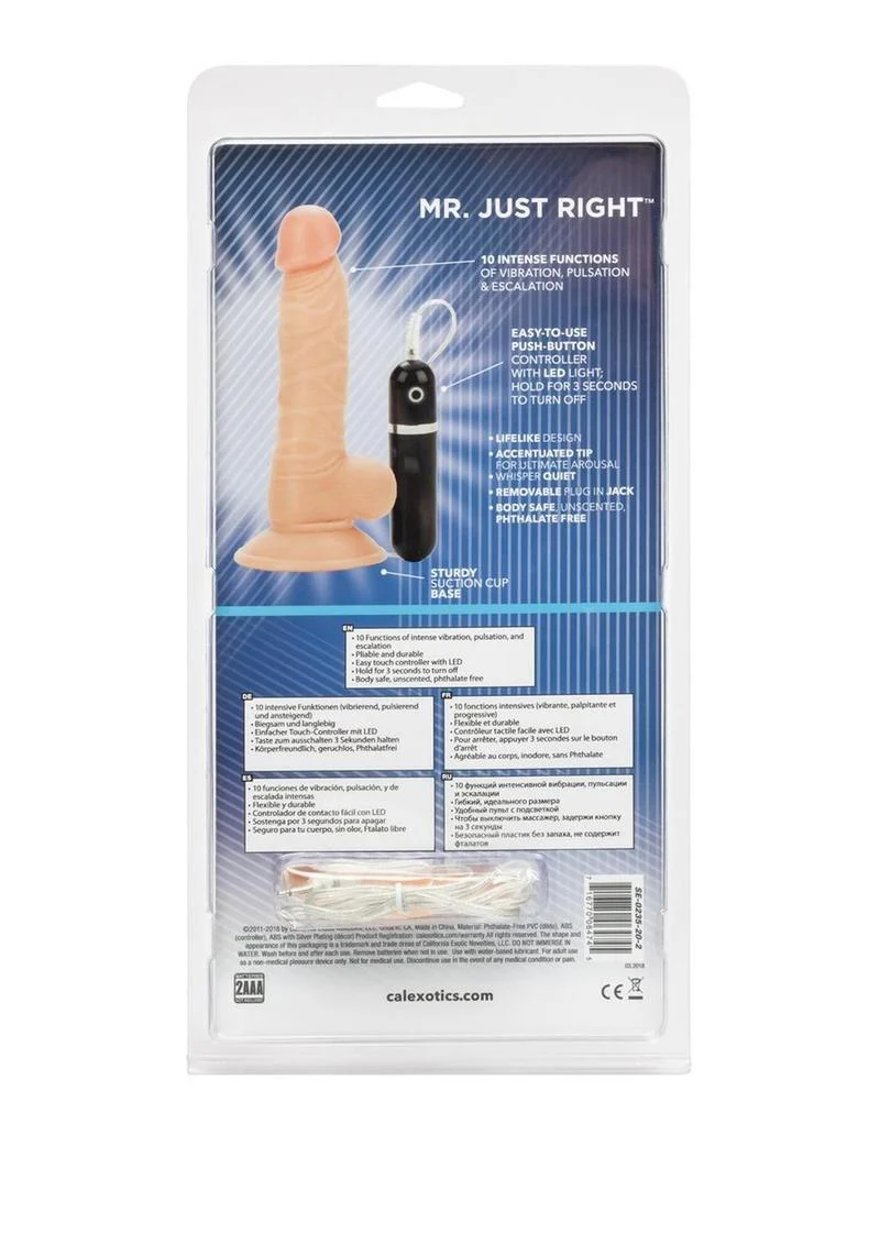 Mr Just Right Vibrating Dildo with Bullet - Image 4