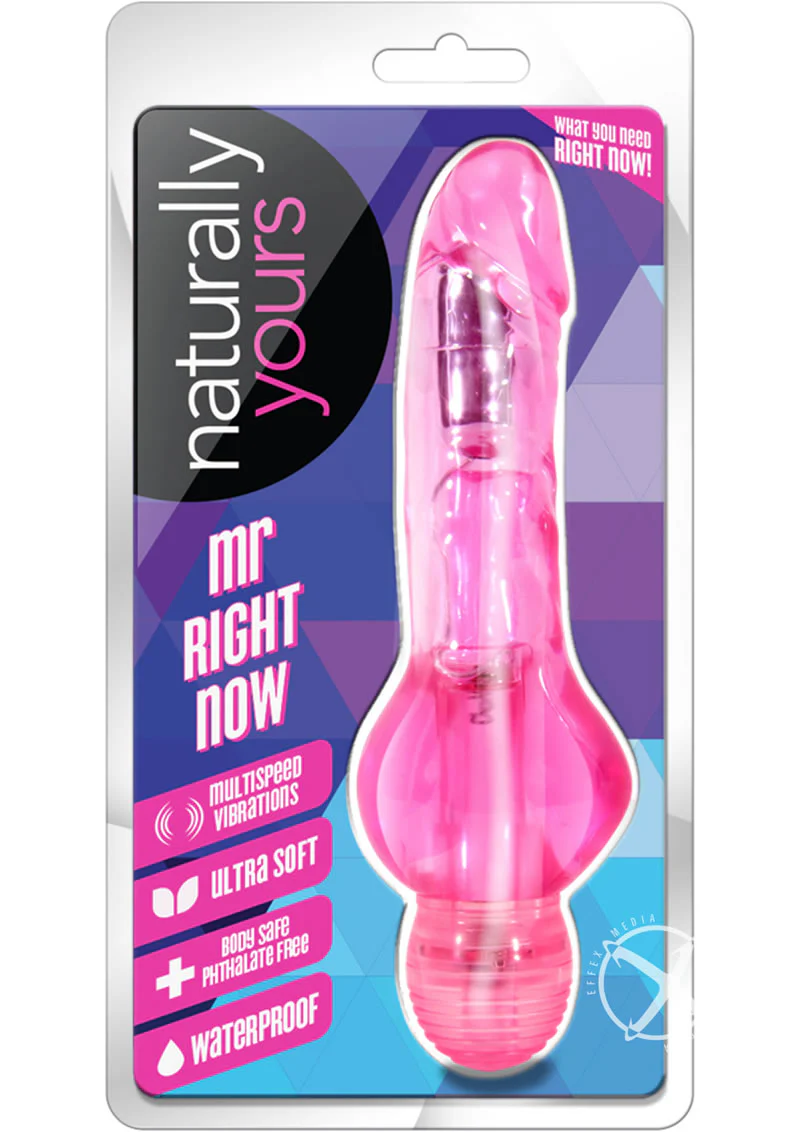 Naturally Yours Mr. Right Now Vibrating Dildo - Image 2