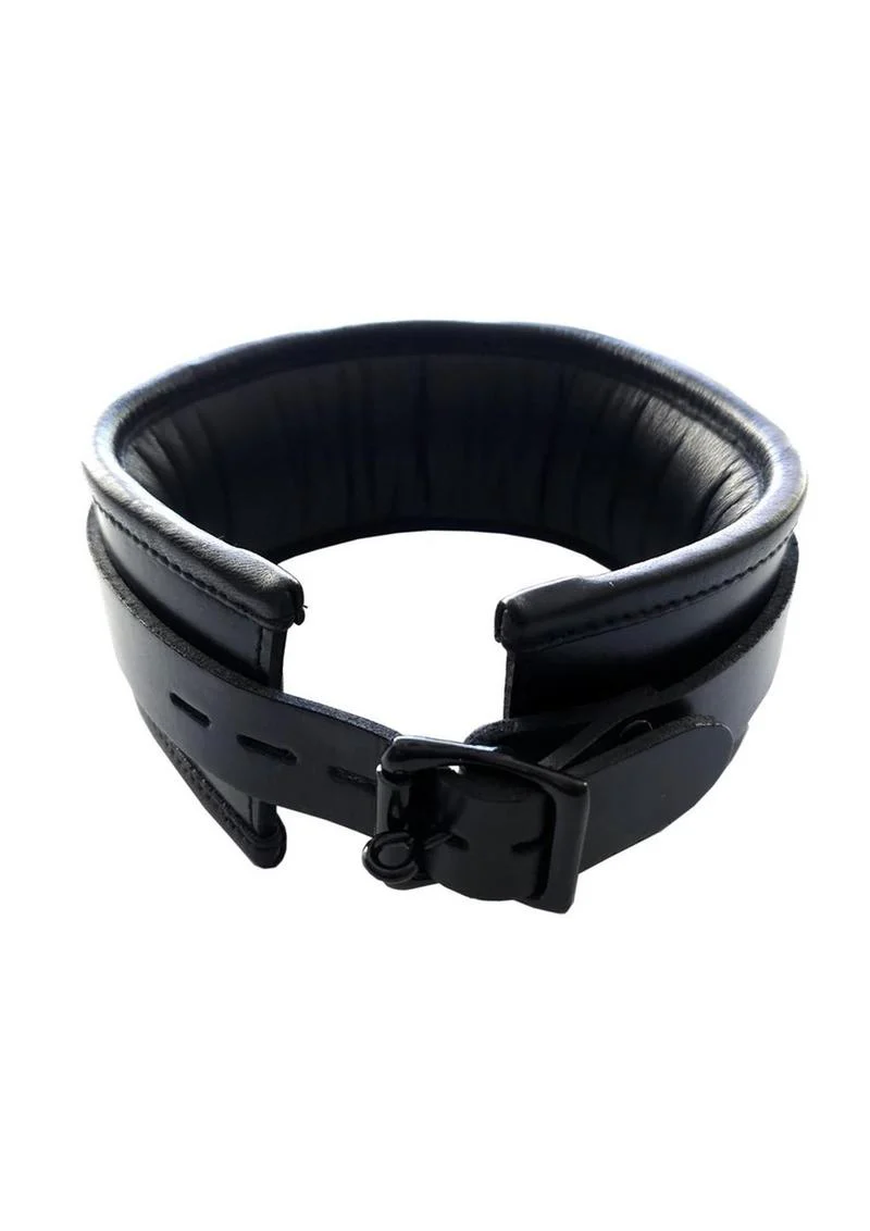 Padded Leather Collar - Image 3
