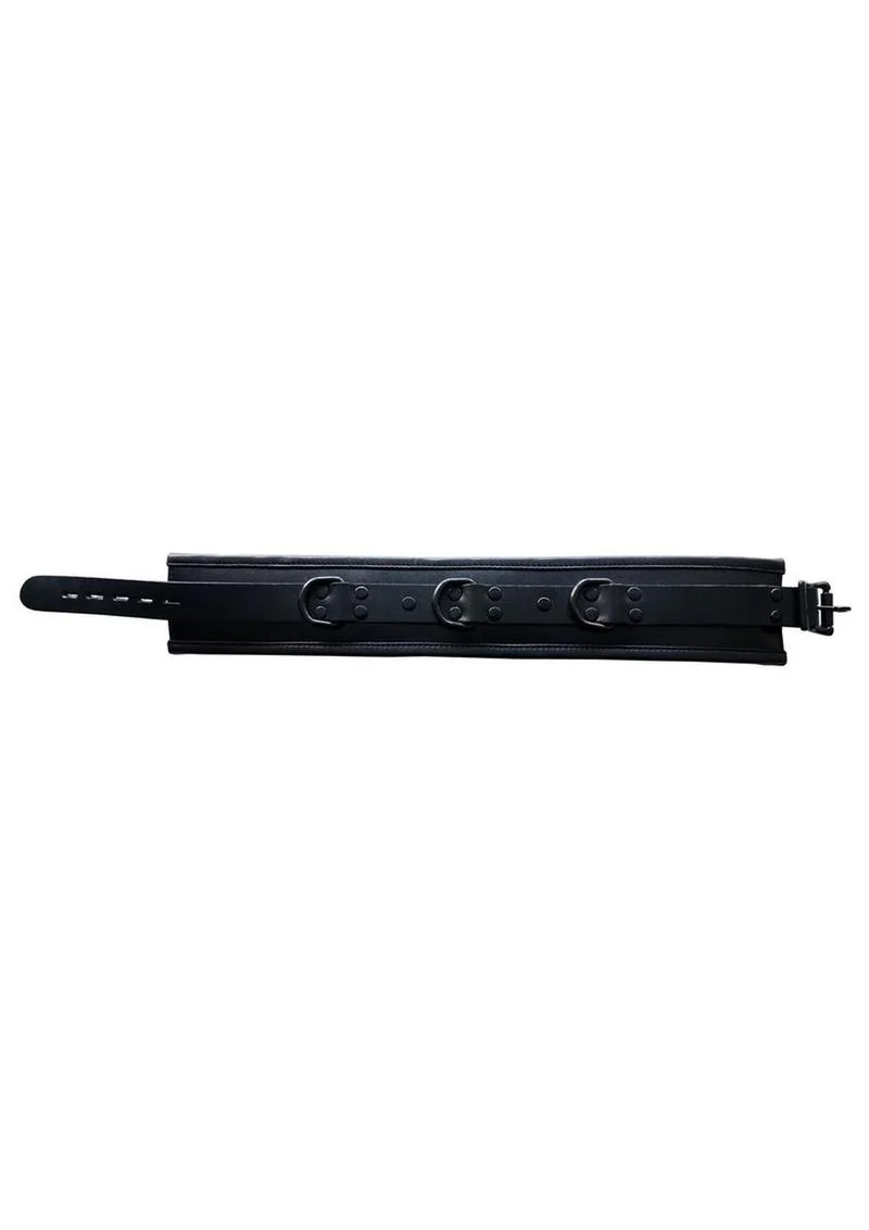 Padded Leather Collar - Image 4