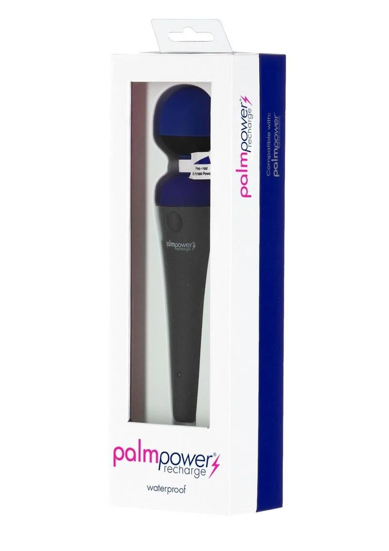 Palmpower Recharge Massager - Image 2