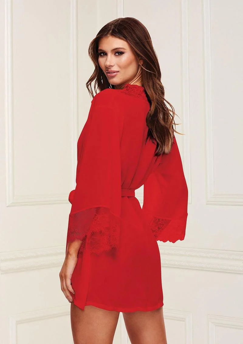 Sheer Chiffon and Lace Robe - Image 2