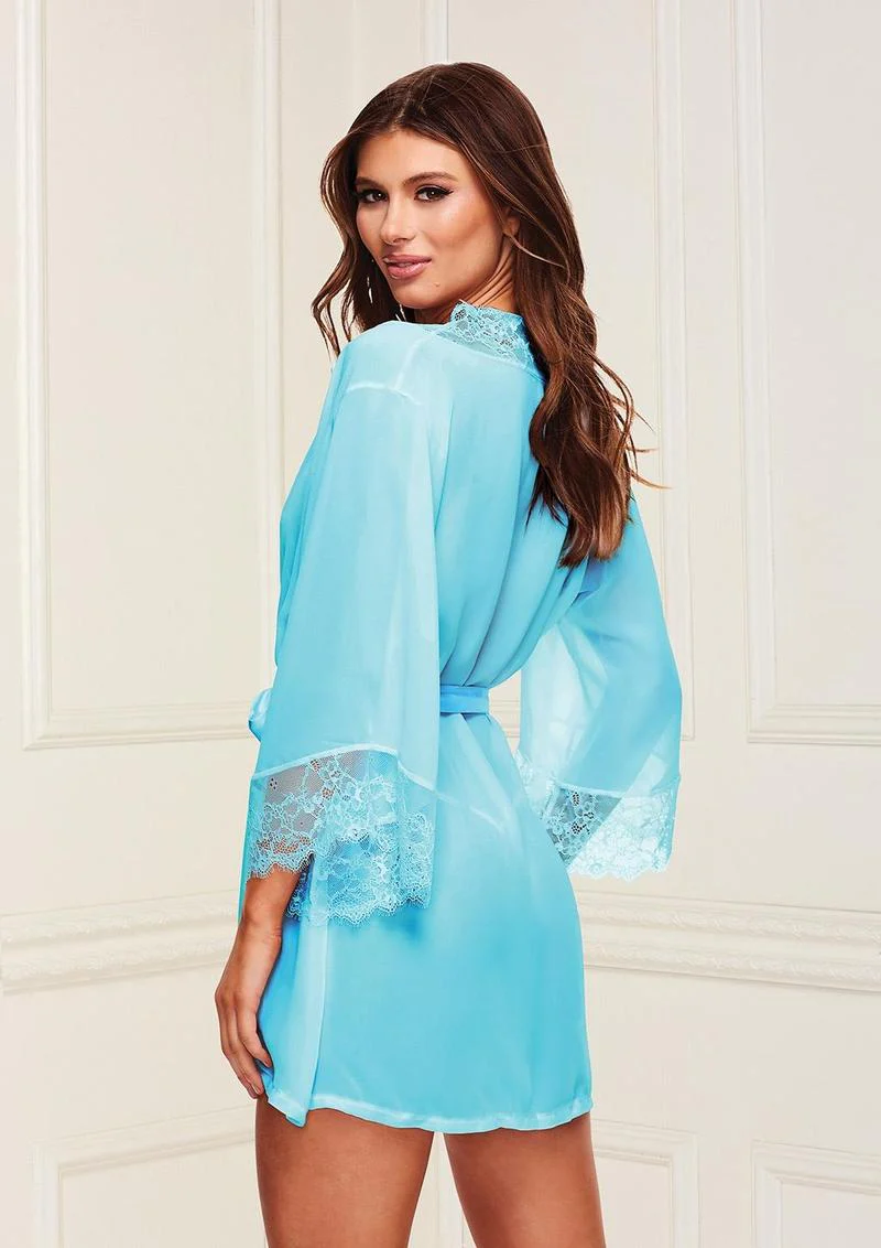 Sheer Chiffon and Lace Robe - Image 4
