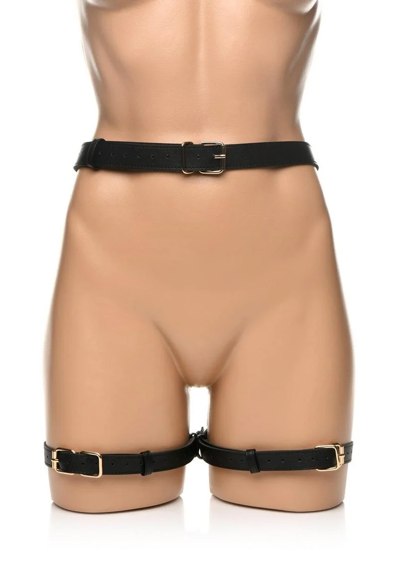 Strict Bondage Harness with Bows - Image 3