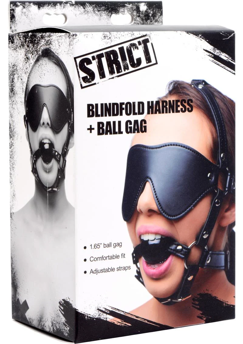 Strict Eye Mask Harness with Ball Gag - Image 2